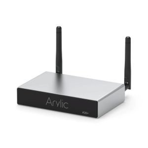Arylic A30+